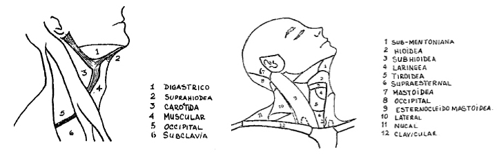figura2y3